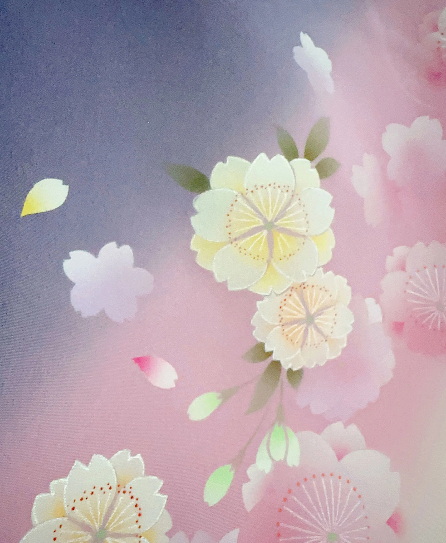 生成り色 白系 暈し染め 手描き 桜吹雪 振袖レンタル - 画像 8